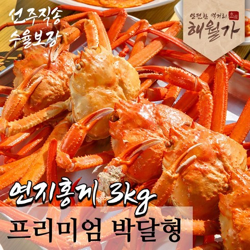 [수율보장] 주문진 박달형 연지홍게 자숙홍게 찜발송 산지직송 3kg (9-11미), 1box