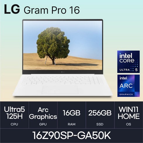 16z90sp-ga50k - LG전자 그램 프로16 16Z90SP-GA50K, WIN11 Home, 16GB, 256GB, 화이트