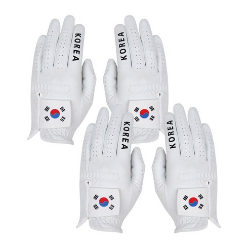2023년 가성비 최고 루디스 국가대표장갑 - 국가대표 태극기 골프장갑 세탁가능 터치가능 여성2set