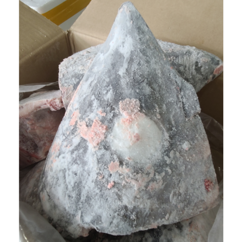 눈다랑어 머리 대(빅아이머리 대) 12kg 박스도매(참치회 냉동참치), 1개