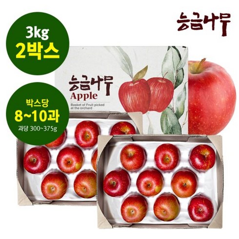 [능금나무] 미시마 못난이사과 3kg(대과 8-10과) 2박스, 단품