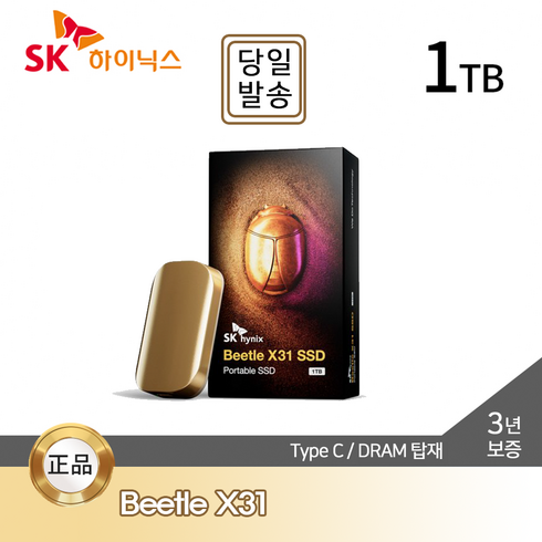 하이닉스x31 - SK하이닉스 Beetle X31 Portable SSD 1TB DRAM 탑재 / 전용 케이스, 골드