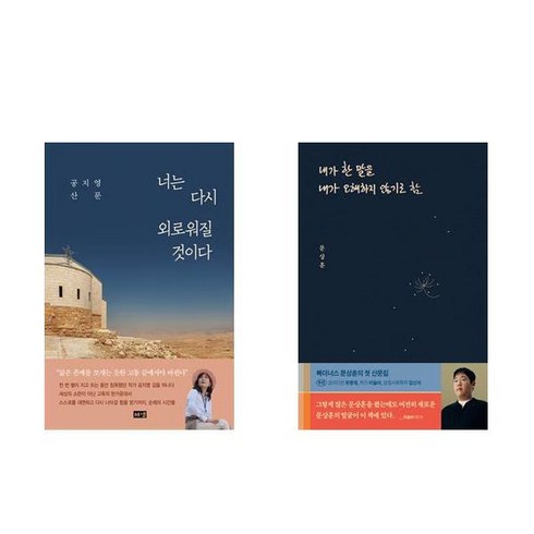 (공지영/빠더너스) 너는 다시 외로워질 것이다 + 내가 한 말을 내가 오해하지 않기로 함 (전2권)