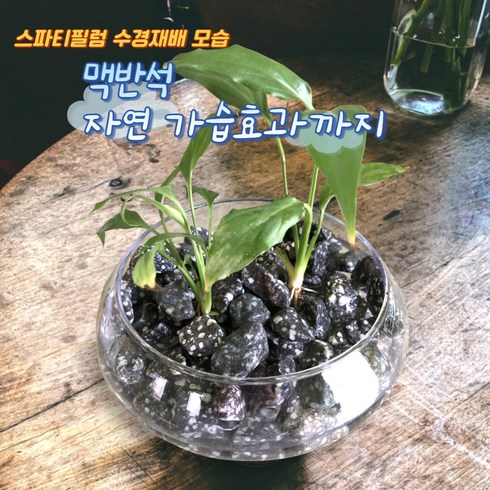 맥반석돌 - 수경재배용 맥반석 수돗물염소제거 정수 탈취 100%국내산 맥반석, 수경재배용 맥반석(20~25mm) 2kg, 1개