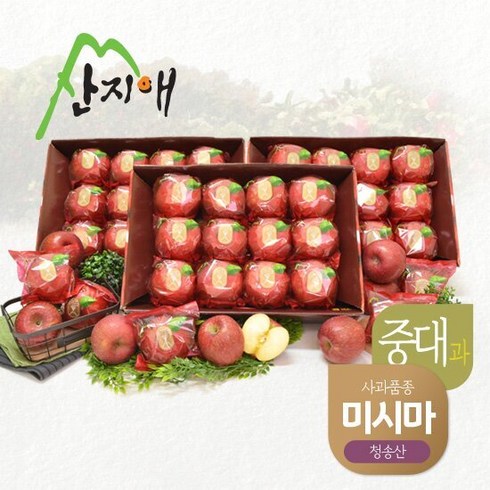 [산지애] 사과 9kg (3kgx3박스 27~39과)/중대과 청송 미시마 세척사과, 단품