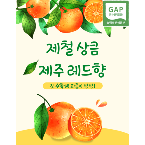 (GAP인증 제주산지직송) 농가에서 식탁으로 제주 레드향/ 레드향 천혜향 황금향 감귤 제주과일 과일선물세트 명절선물세트 명절과일선물 유아식과일 유기농과일 아기간식 유아간식 과일, 가정용, 3kg