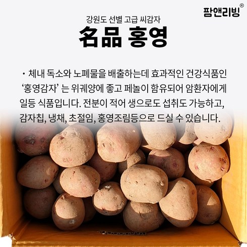 씨감자 수미 두백 홍감자 홍영 자영 2024년도 강원도씨감자, 홍영(3키로), 1박스