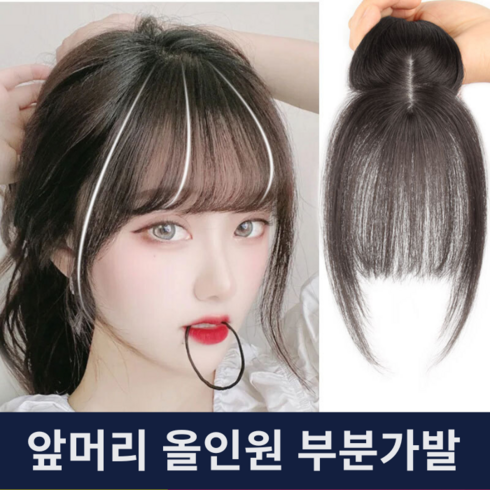 HMT 프랜치뱅 앞머리 부분가발 정수리 올인원 부분가발, 1개, 브라운블랙