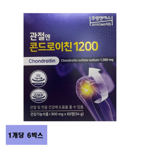 관절엔 콘드로이친 1200 12개월분 - 콘드로이친 관절엔 콘드로이친1200, 6박스, 5개