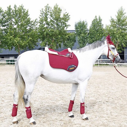 독마장비 승마용품 말안장 럭셔리 세트 고삐 로프 귀마개 레깅스 양모 패드 패드, 빨간색