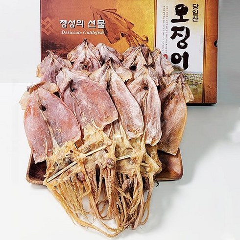 해진 울릉도 건오징어 (대)10미(700g)선물포장, 700g, 1개