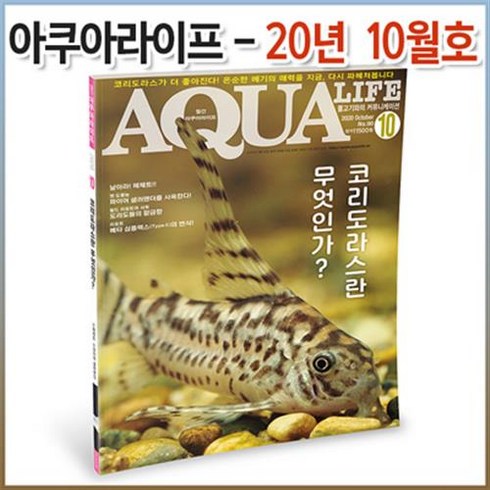 아쿠아라이프 - 아쿠아라이프 2020년 10월호