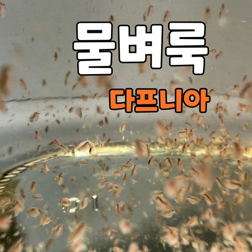 물벼룩 - 물벼룩 다프니아 1000마리, 1개, 650ml