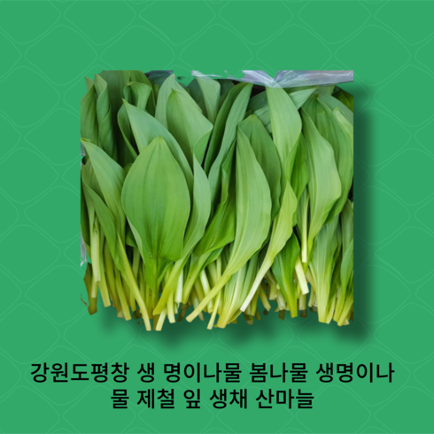 [국내산]강원도평창 생 명이나물 봄나물 생명이나물 제철 잎 생채 산마늘, [}잎명이1키로, 1개