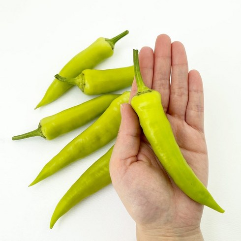 고츠샵 - 국내산 오이맛 당조고추 당고추 1kg, 1개