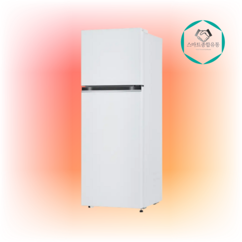 LG전자 일반형 냉장고 방문설치, 화이트, B243W32