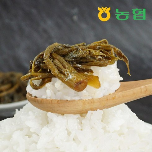 [농협] 고급 밥반찬 순창 참두릅 장아찌 1병×220g, 1개, 220g