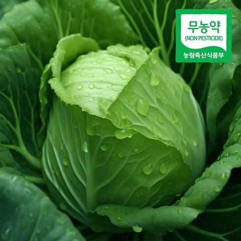 유기농 양배추 3.5kg 5kg, 1개