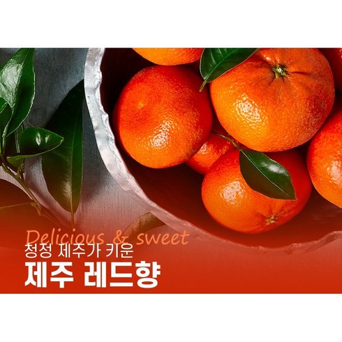 위미리감귤농장 제주 고당도 레드향 특상 선물용 10kg 5kg 4kg 3kg 산지직송, 1박스, 레드향4kg선물용(특상15~20)