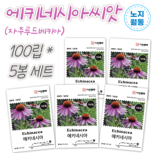 에키네시아 씨앗 100립 x 5봉 세트 노지월동 다년생 야생화 꽃씨 봄 여름 가을 파종 자주 루드베키아, 5개