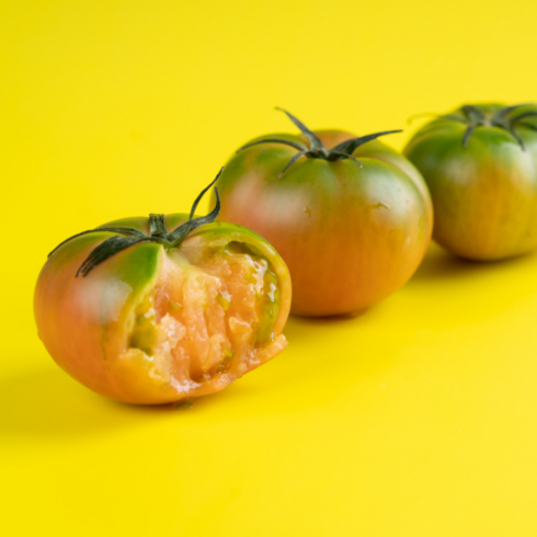 [100%농협인증] 부산 대저 짭짤이 토마토 2.5kg, 대저토마토 L 2.5kg, 1개