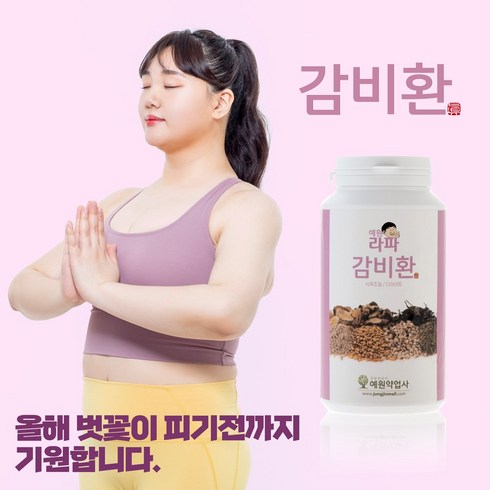 감비환(460g)1통 + (90g)2통