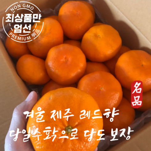 제주 레드향 고당도 제주레드향 3kg(당도보장), 가정용 레드향 소과 3kg(25~30과)