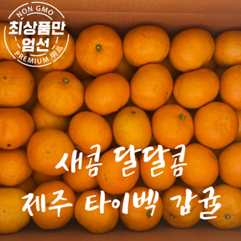 한정특가 제주 고당도 타이벡 노지감귤 5kg 10kg, 타이벡감귤 10kg(중과 M), 1박스