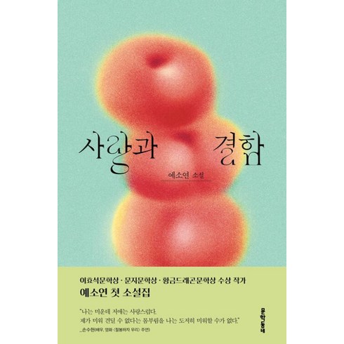 예소연 - 사랑과 결함:예소연 소설, 문학동네, 예소연