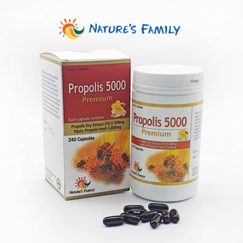 호주 네이쳐스패밀리 프리미엄 프로폴리스 5000 240캡슐 호주산 PROPOLIS, 2개, 240정