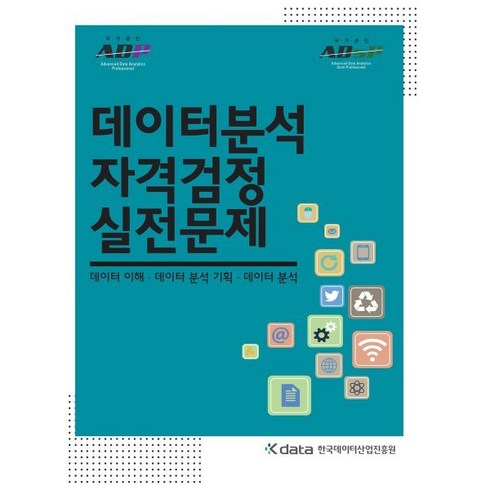 sql자격검정실전문제개정판 - 데이터분석 자격검정 실전문제:데이터 이해 데이터 분석 기획 데이터 분석, 한국데이터산업진흥원