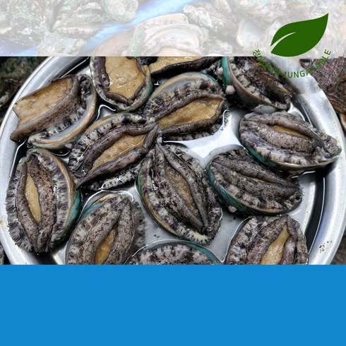 정아네식탁 완도직배송 산소포장 활전복 1kg 7-8미, 1개