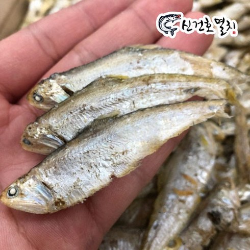 신건호멸치 국물용 국산 고노리(상급) / 육수용멸치 밴댕이 멸치, 1.5kg, 1개