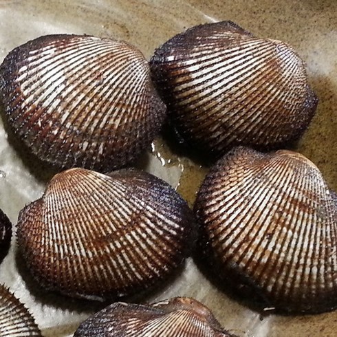 오병이어농산 피꼬막, 2kg 특대 (25~39미), 1개