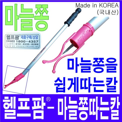 마늘쫑나오는시기 TOP01