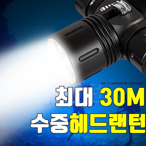 09FARM 수중헤드랜턴 최대30M CREE L2칩사용 다이버랜턴, 블랙