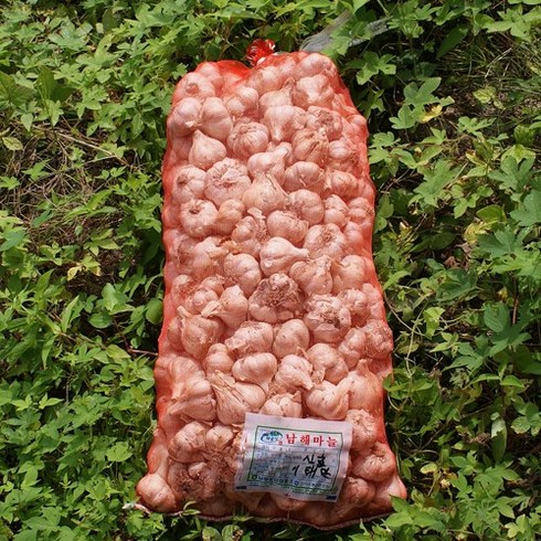 남해마늘 저장용, 1개, 중품 10kg