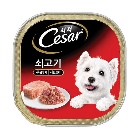 시저 강아지 캔