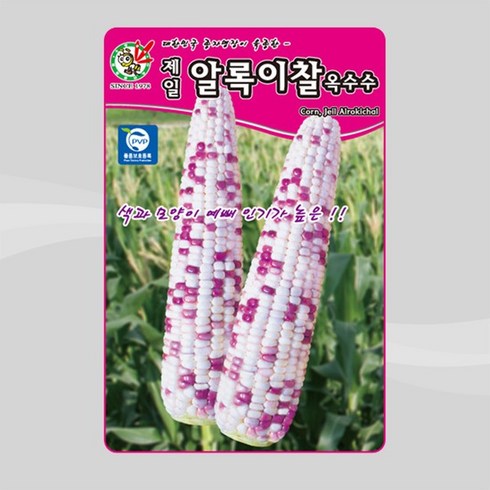 제일종묘 옥수수 씨앗 알록이찰옥수수 150립, 1개