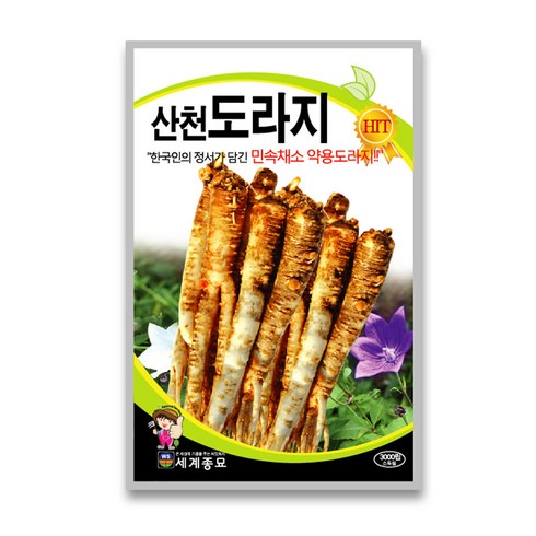 도라지씨앗 TOP01