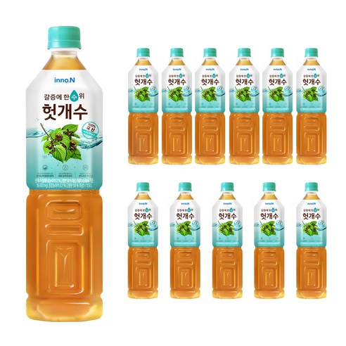 CJ헬스케어 헛개수, 500ml, 12개