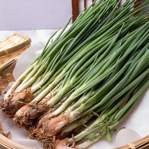 국내산 알싸함이 살아있는 싱싱한 쪽파, 300g, 1개 
채소