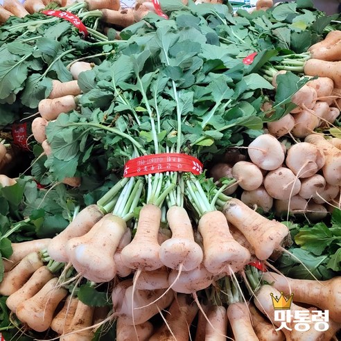 [맛통령] 신선한 알타리무 맛있는 총각무, 1개, 2kg 1단