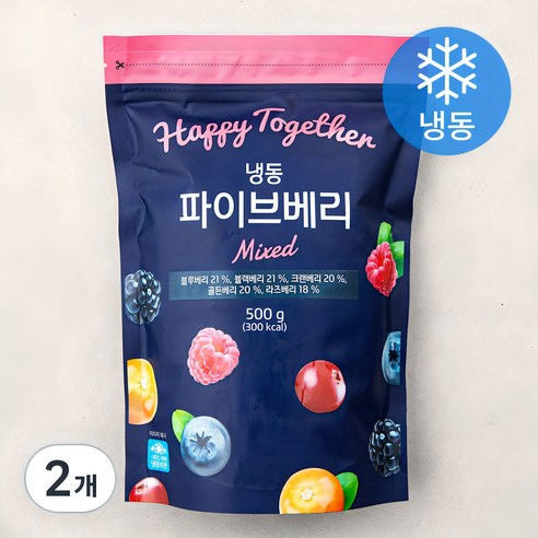 파이브 베리 (냉동), 500g, 2개