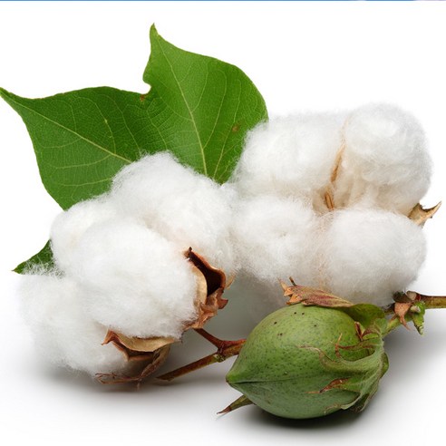 케이지 프래그런스오일 자연향 디퓨저 리필액 50ml, CLEAN COTTON