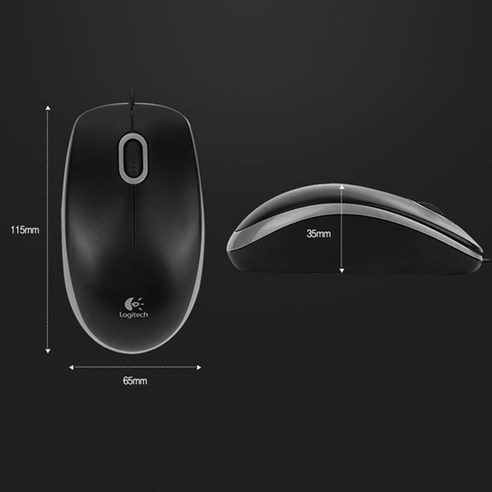 로지텍 데스크탑 유선 키보드 + 유선 마우스 세트 MK200 NEW, 일반형