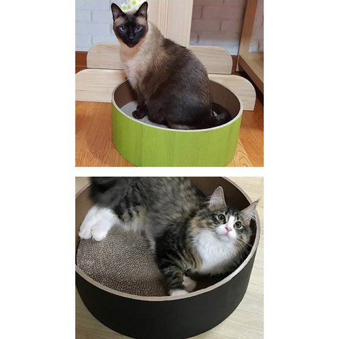 고양이의 발톱 건강을 도와주는 힐링 아이템