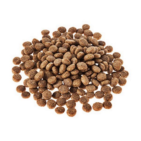 소중한 반려견을 위한 완벽한 선택