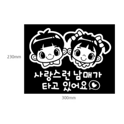 제제데코 A100 사랑스런남매가타고있어요