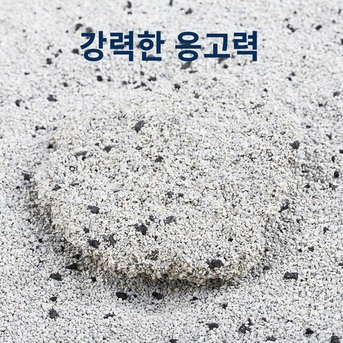 탐사 고양이모래 고운입자형 무향은 최적의 선택